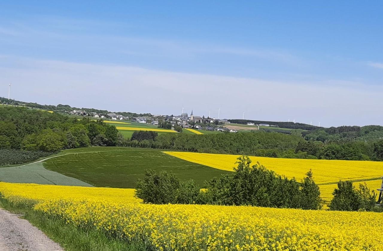 Apartmán Kleine-Eifel-Auszeit Hambuch Exteriér fotografie